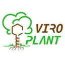 CNR: Viroplant H2020 European Project for Plant Protection