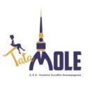 Tata Mole, nuovo progetto digitale made in Torino